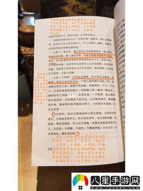 小積積對(duì)小積積