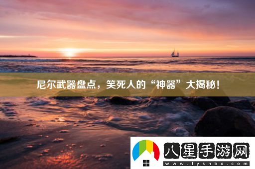 尼爾武器盤點
