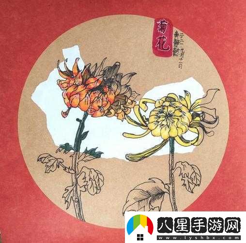 六年級(jí)菊花能塞下幾支筆