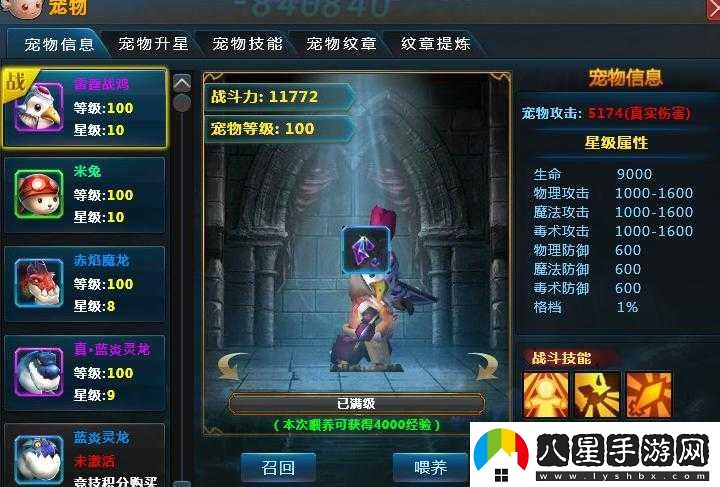 魔龍勇士之寵物系統(tǒng)簡述