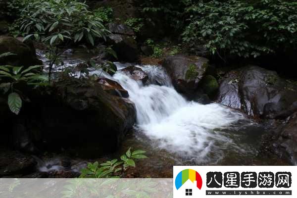 黃龍風景區(qū)溪水潺潺的秘密