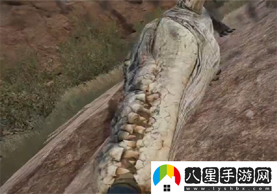 為什么三角洲行動(dòng)會(huì)有鱷魚(yú)