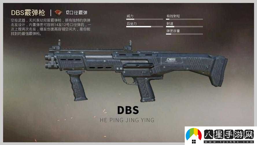 和平精英DBS與S12K對(duì)比