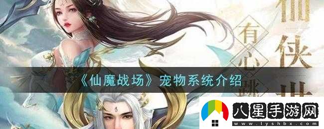 關(guān)于仙魔戰(zhàn)場(chǎng)寵物玩法的深度分析與探討