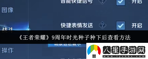 王者榮耀9周年時光種子種下后怎么查看