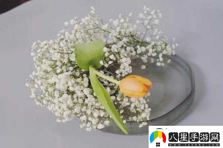 藝術(shù)學(xué)院滿(mǎn)天星法版免費(fèi)