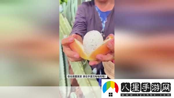 我愛搞52GAPP探索52G應(yīng)用讓你愛上科技與生活的無(wú)縫連接！