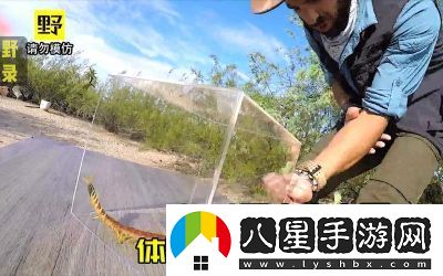 智慧再現(xiàn)！沙漠蜈蚣的必勝打法