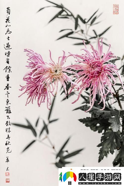 國(guó)產(chǎn)做受入口竹菊